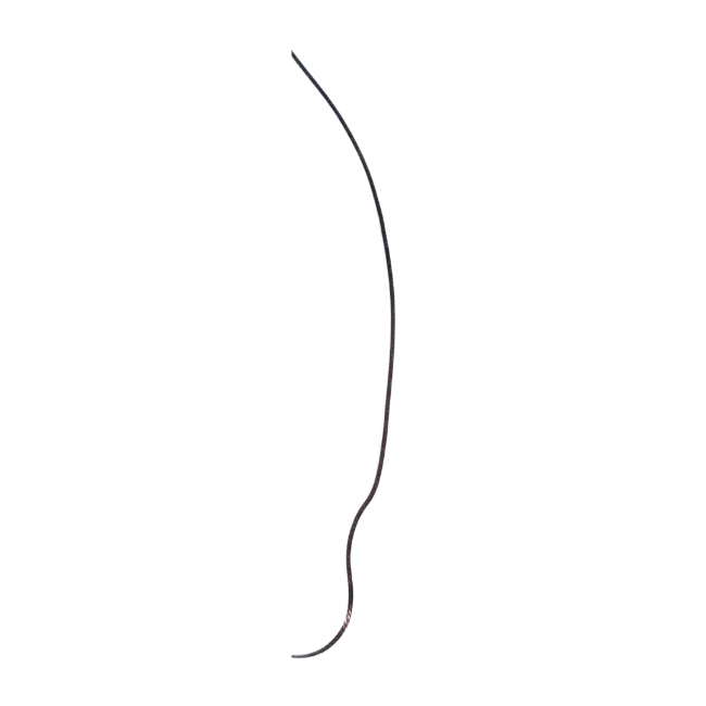Accessory Image
