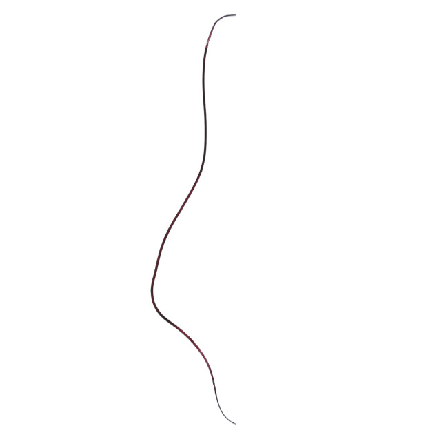 Accessory Image